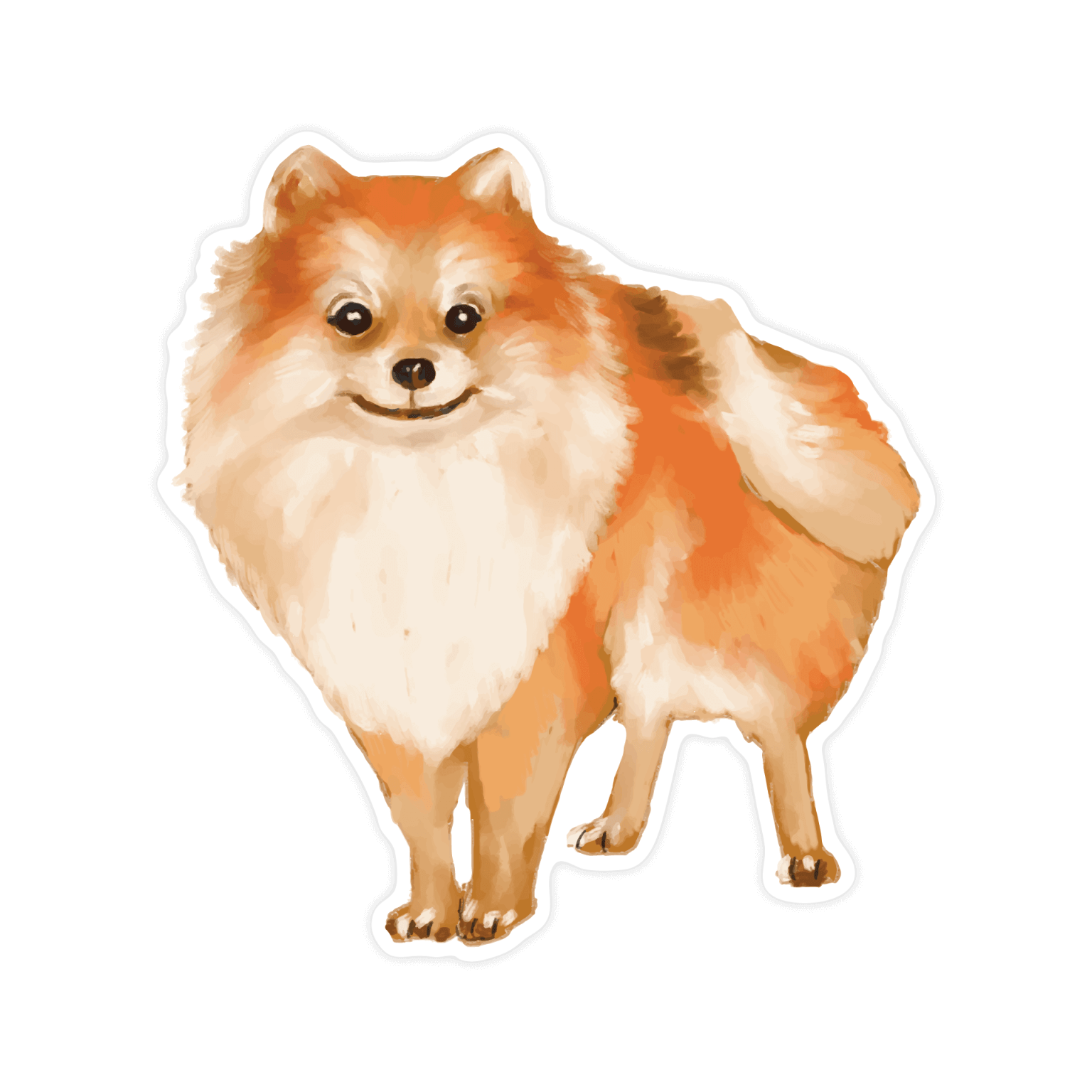 Sticker Anjing Pomeranian Agette