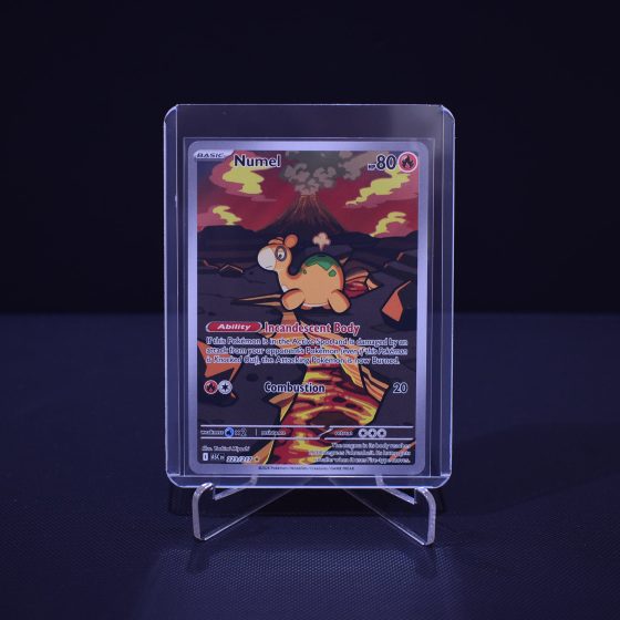 Numel, 223/217, Ascended Heroes (ASC), Illustration Rare (IR), Kartu Pokemon, [#4]
