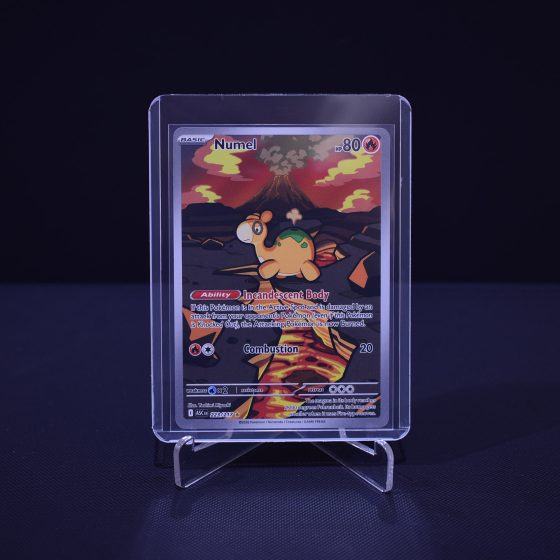 Numel, 223/217, Ascended Heroes (ASC), Illustration Rare (IR), Kartu Pokemon, [#5]